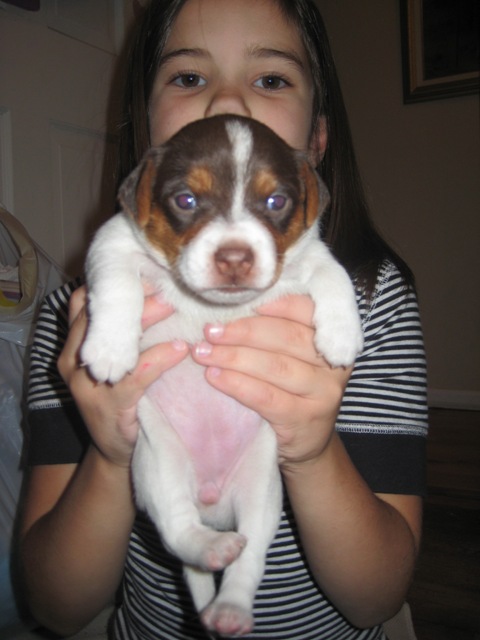 Silverheels 3 weeks