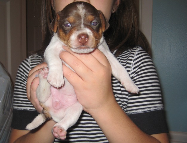 Sunlight 3 weeks