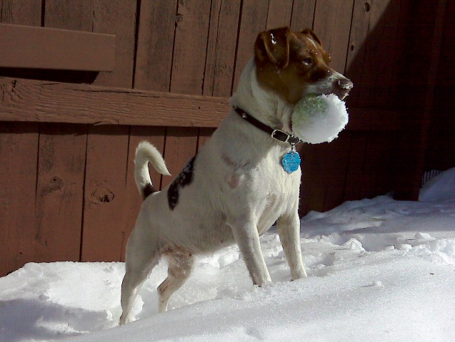 Sussi with her ball