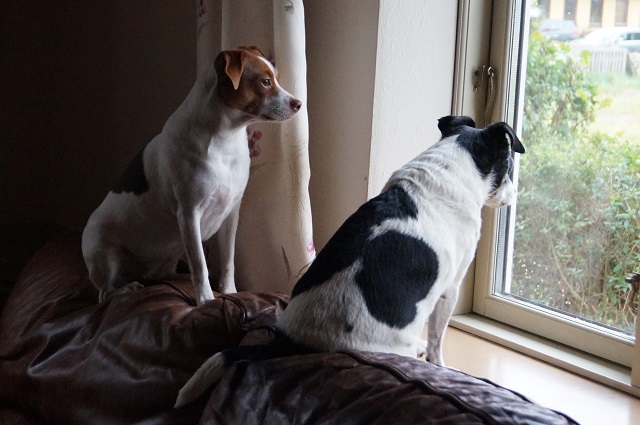 ida og Maddy