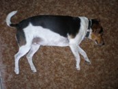 Laying on side 4 weeks