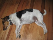 Laying on side 5 weeks