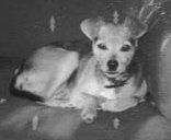 Lulu 1966