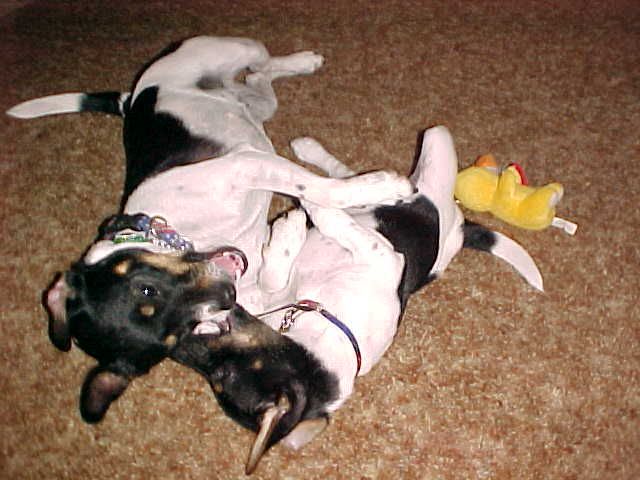 Maddy and Kikka play