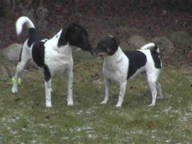Maddy and Rufus