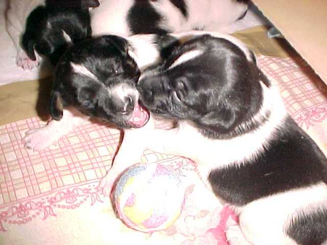 MyBall