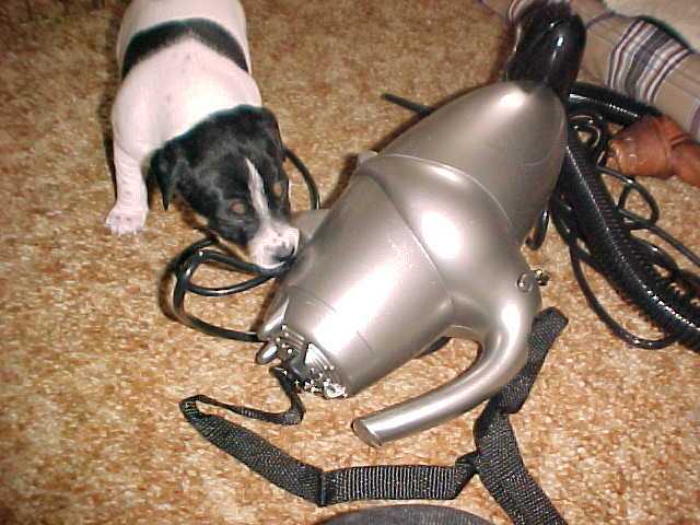 shoshone hand vac