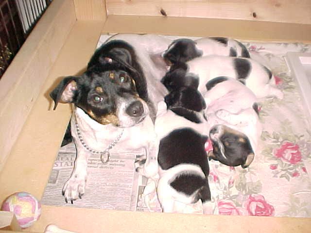Litter Wk4