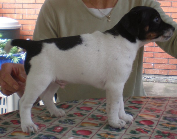 Ali 7 weeks
