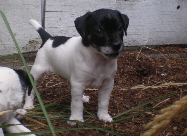 Ali 7 weeks