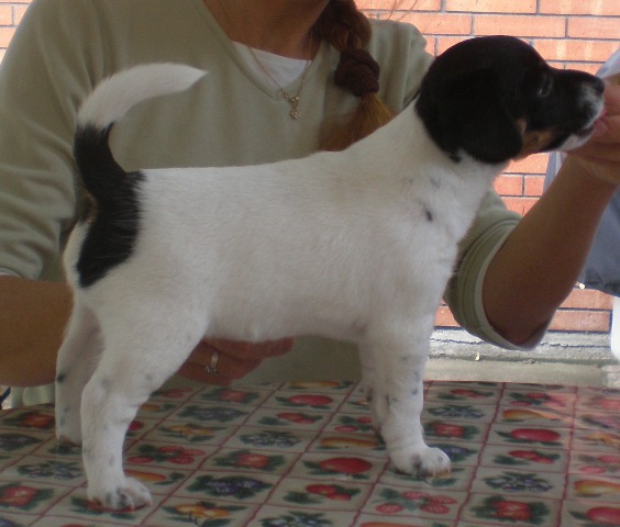 Nell 7 weeks