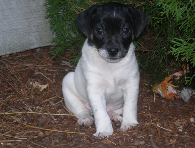 Nell 7 weeks