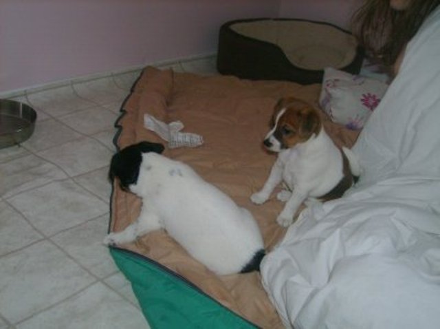 Nell and Daisy