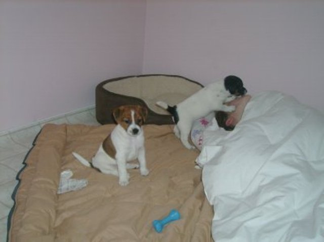 Nell attacks Ashley