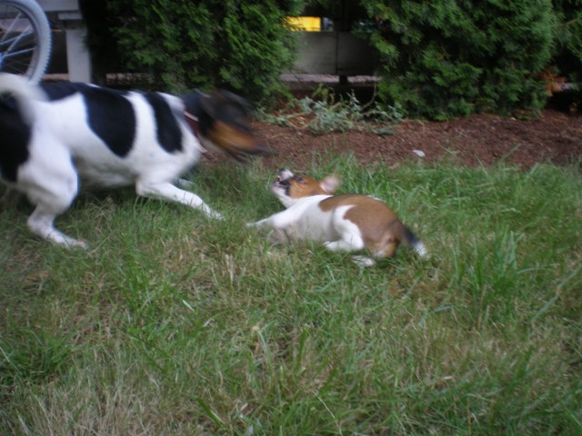 CJ and Daisy