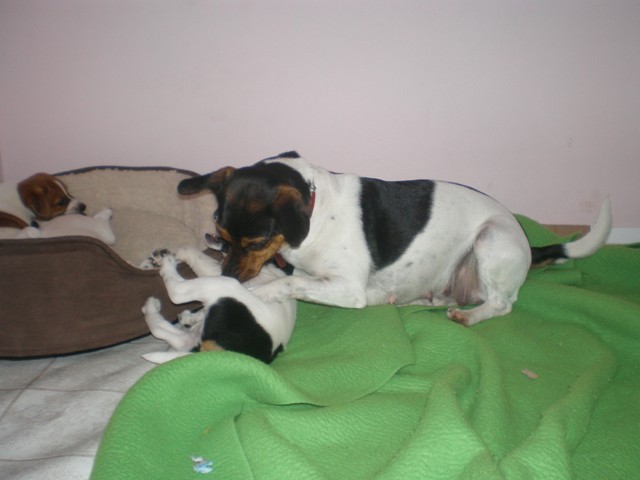 CJ and Ali