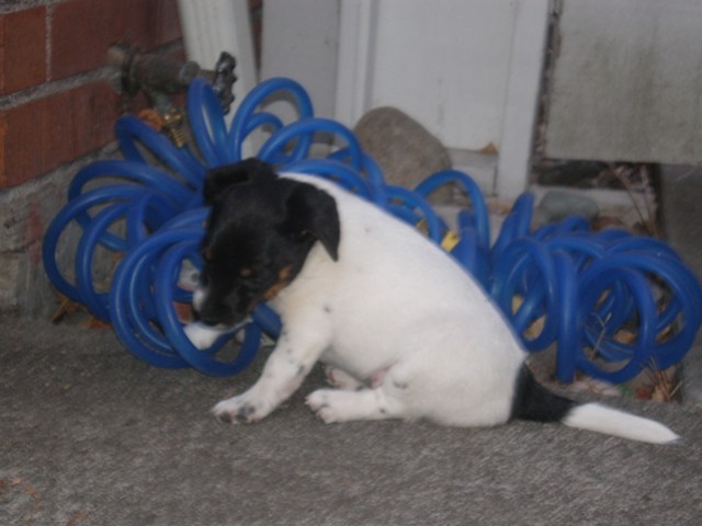 Nell and hose