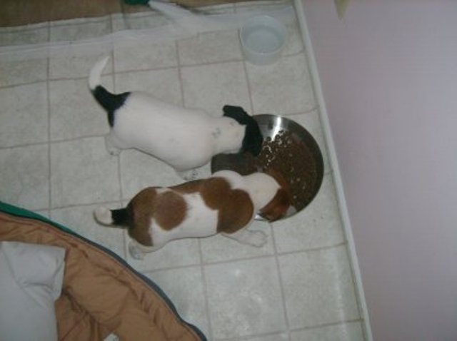 Nell and Daisy