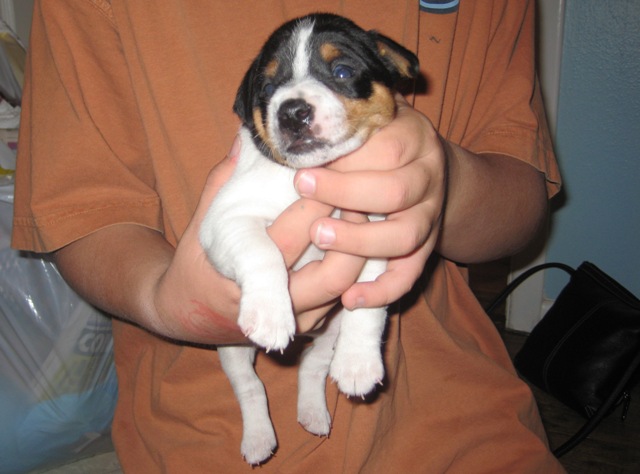 Kit Carson 3 weeks