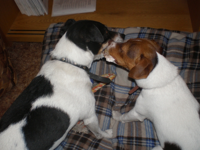 challenge Maddy