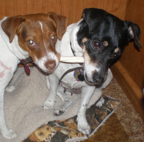 Sussi and Maddy