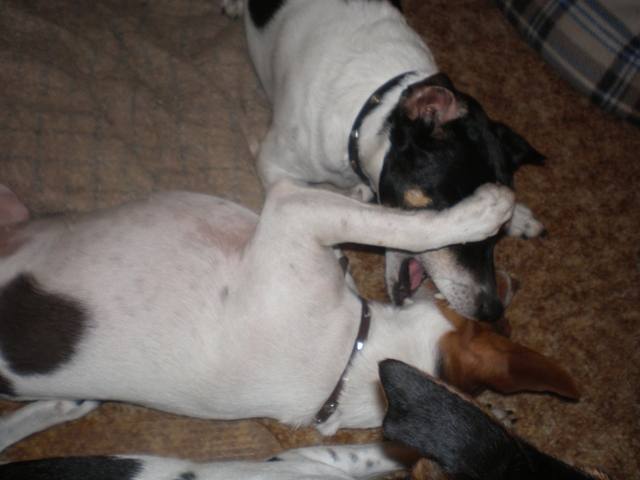 Sussi and Maddy play