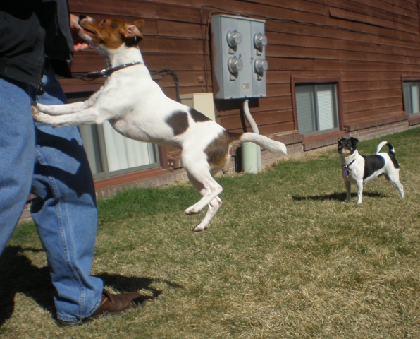 Sussi jump