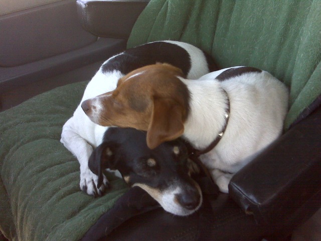 Snuggles with Maddy