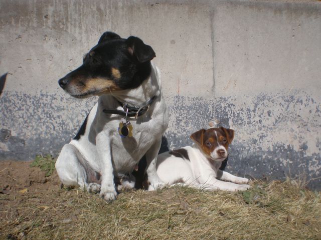 Maddy and Sussi