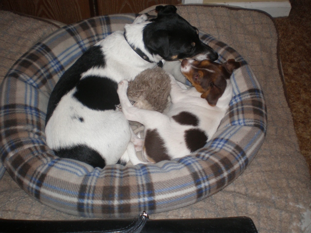 Sussi snuggle with Maddy