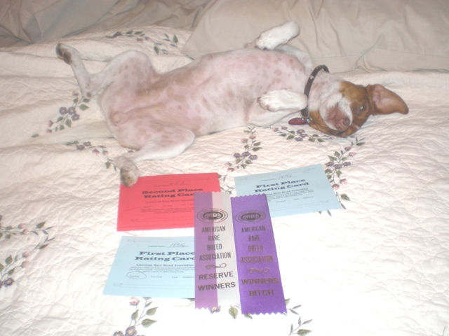 Sussi after her first show