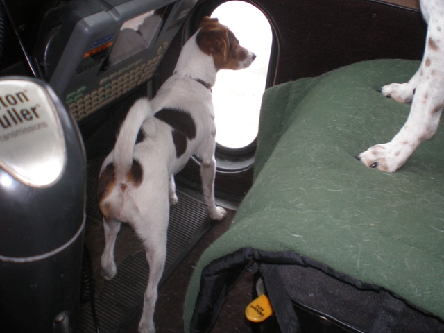 Sussi in the truck