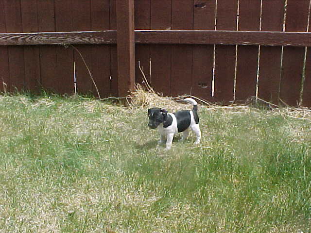 Cheyenne stand outside