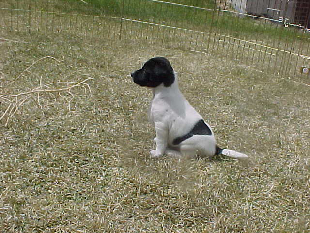 Arapahoe sit outside