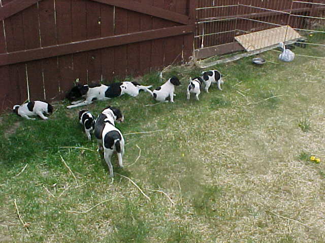 all 7 outside
