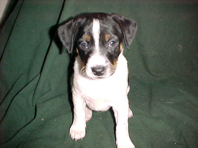 SiouxFront6wks