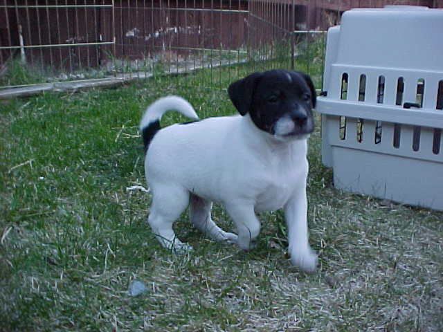 ArapahoeFront6wks