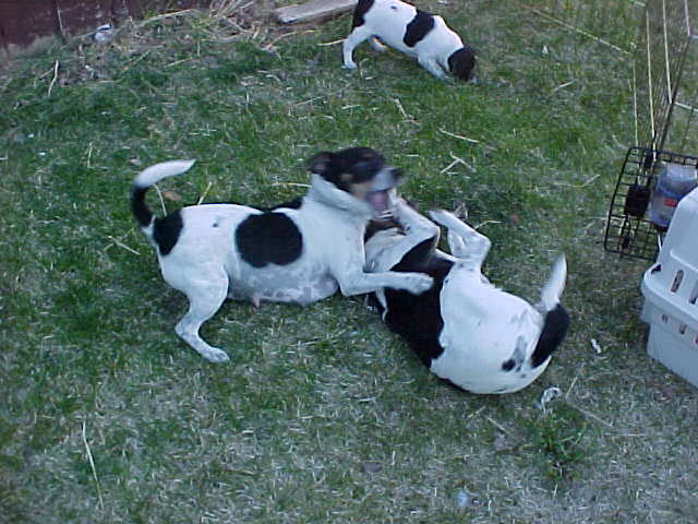 Maddy play Kikka