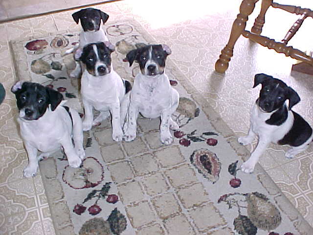group sit