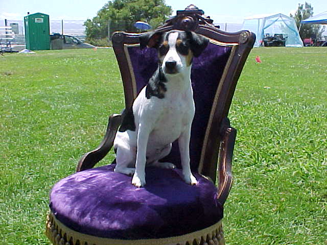 Lexie throne