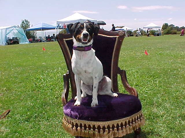 Suzy throne