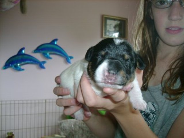 Nell 1 week