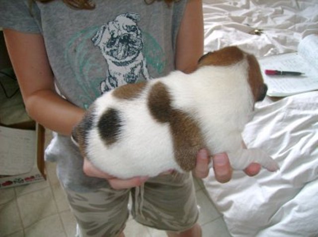 Daisy 1 week old