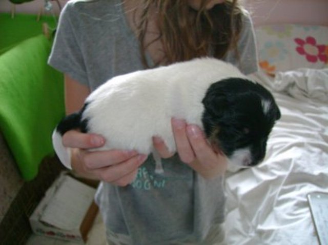 Nell 1 week old
