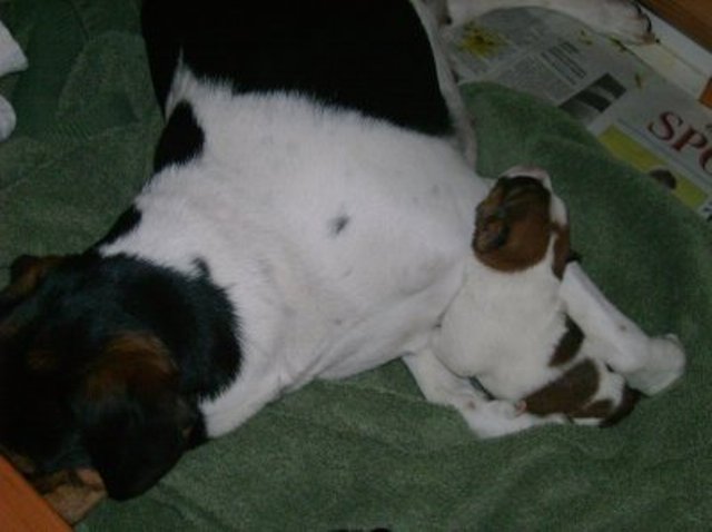 snuggle with Mama