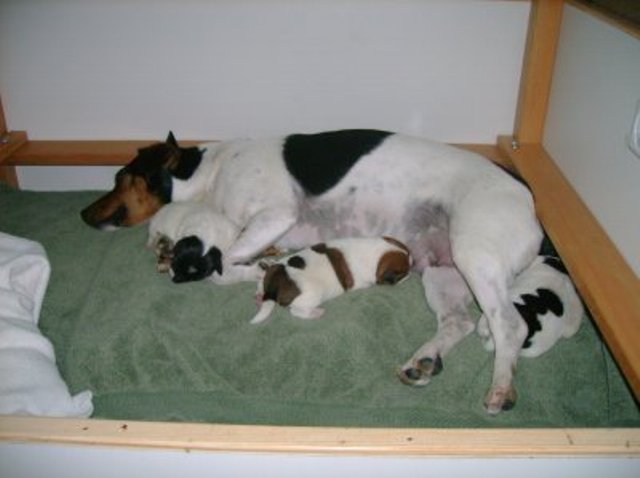 sleeping