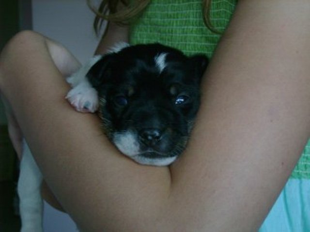 Ali 2 weeks front