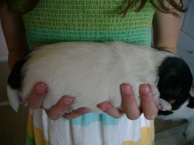 Nell 2 weeks side