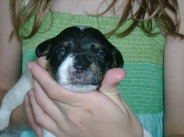 Nell 2 weeks front