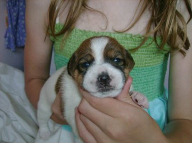 Daisy 2 weeks front